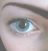 Daydream
